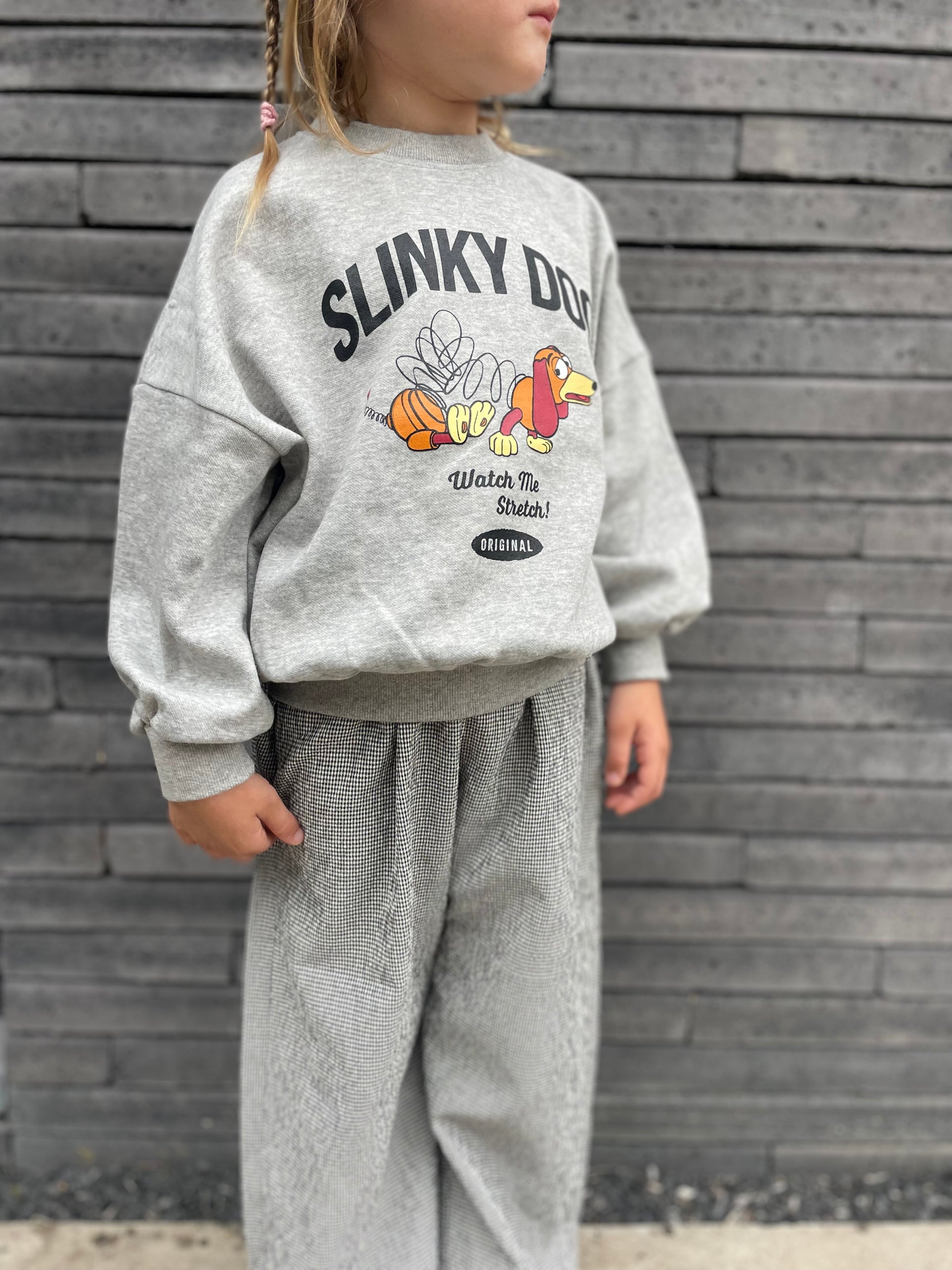 Slinky dog sweatshirt