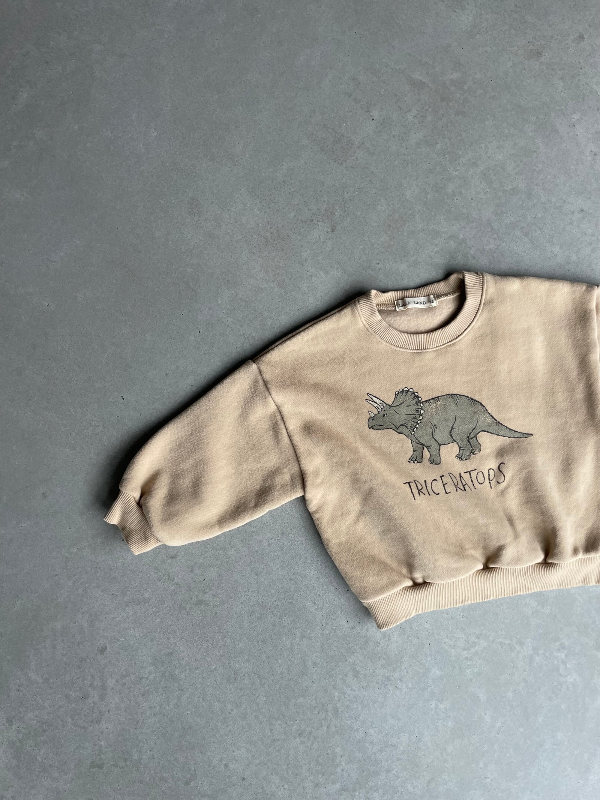 Oversized dino sweater - beige