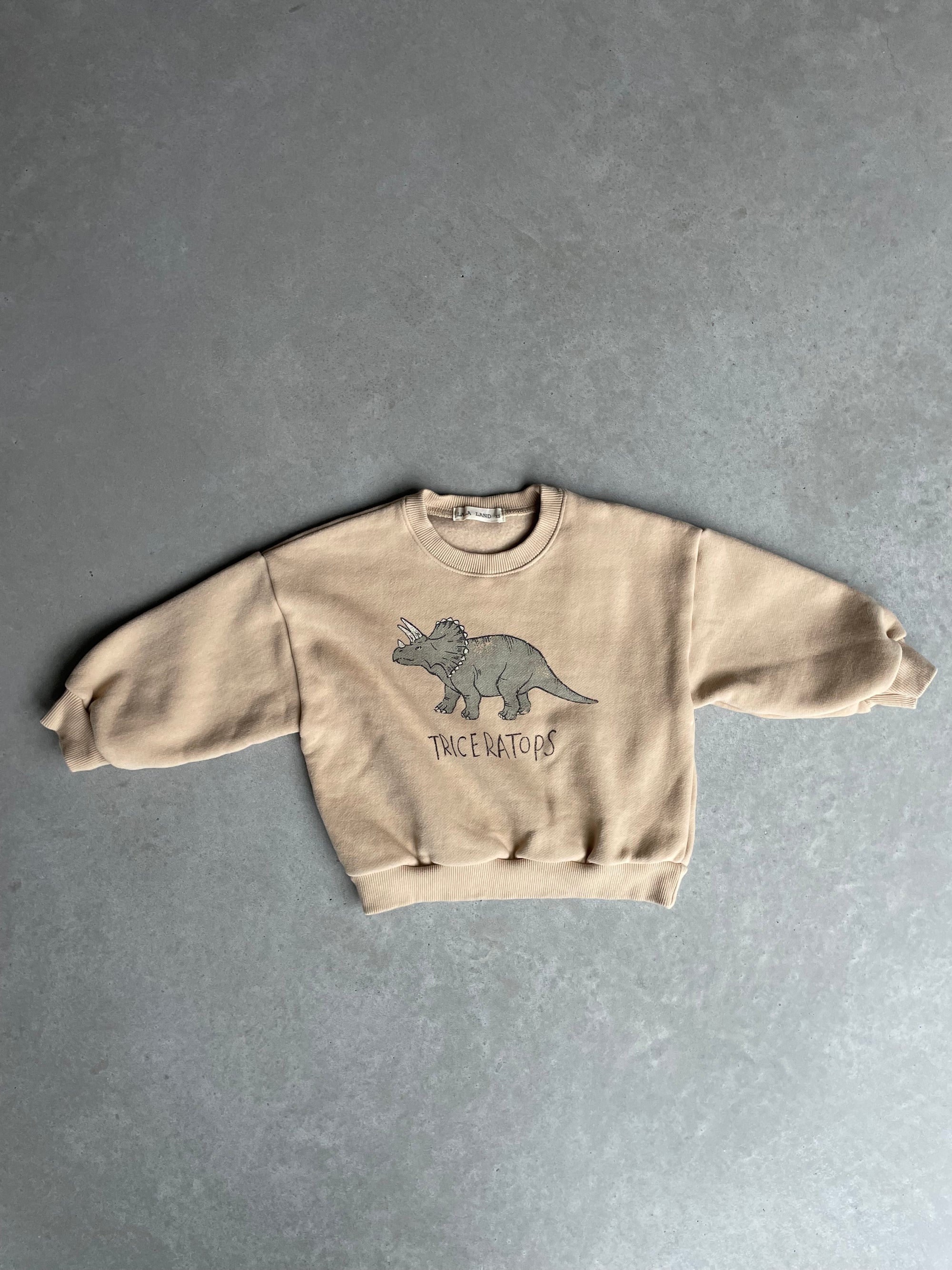 Oversized dino sweater - beige