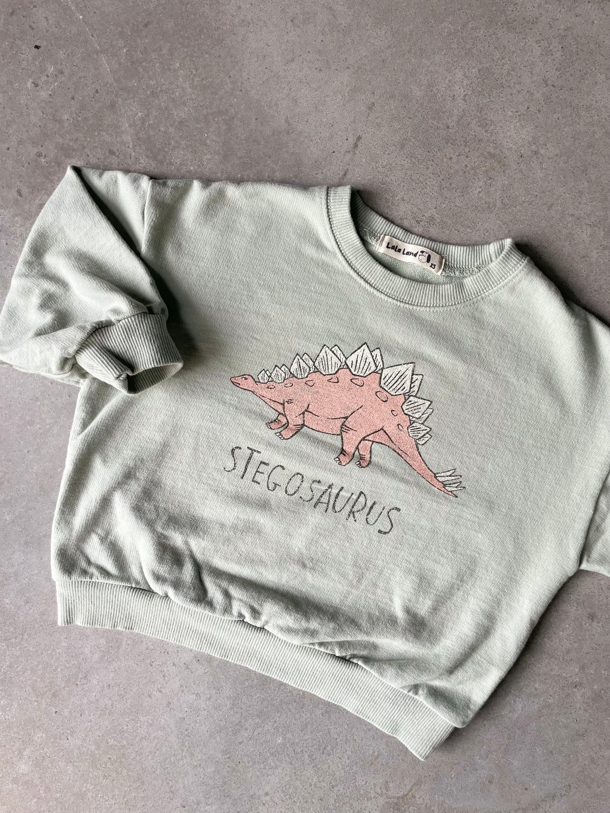 Dino sweater